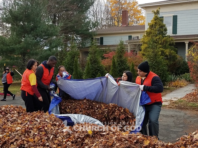 Senior Citizen Yard Cleanup