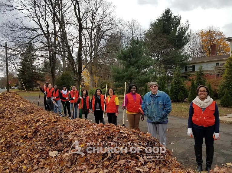 Senior Citizen Yard Cleanup