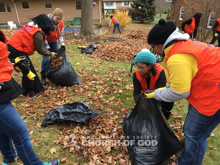 Senior Citizen Yard Cleanup