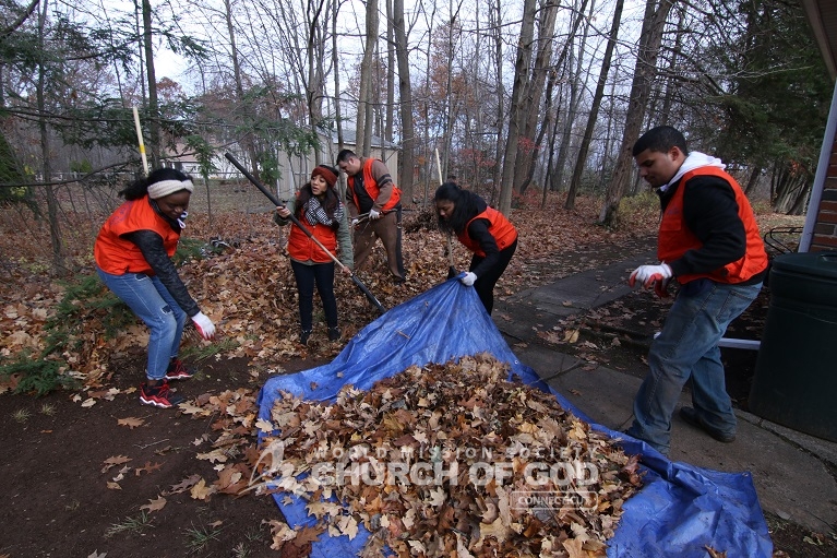 Senior Citizen Yard Cleanup