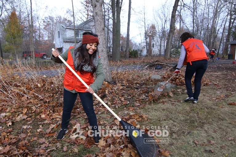Senior Citizen Yard Cleanup